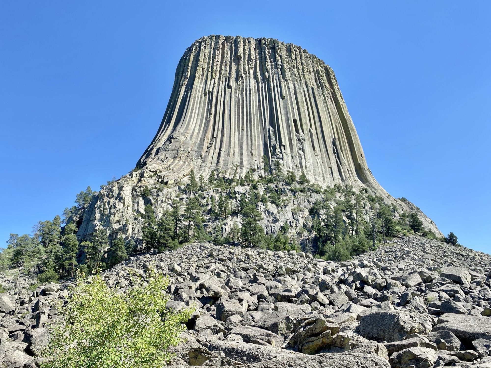 The columnar butte of Devils Tower rising above a boulder field under a deep blue sky