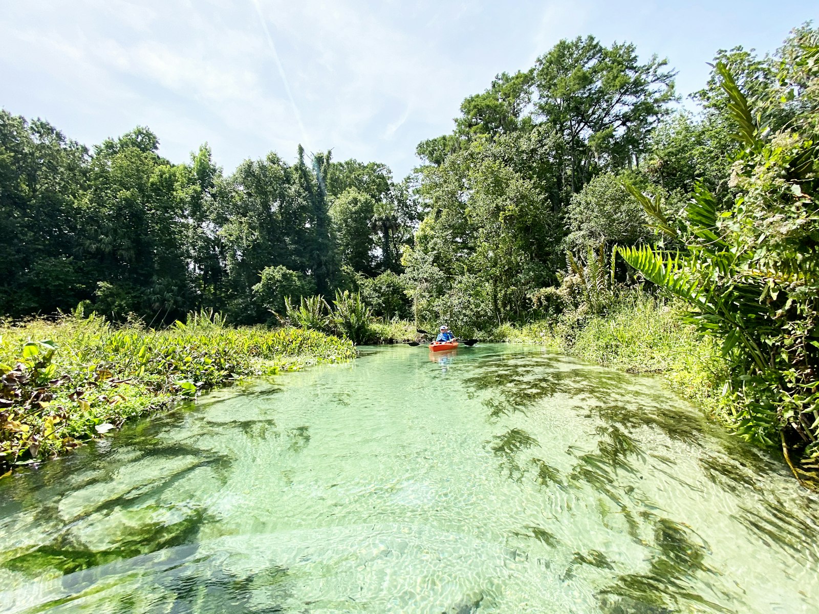 Kayaking a clear, spring-fed Florida river