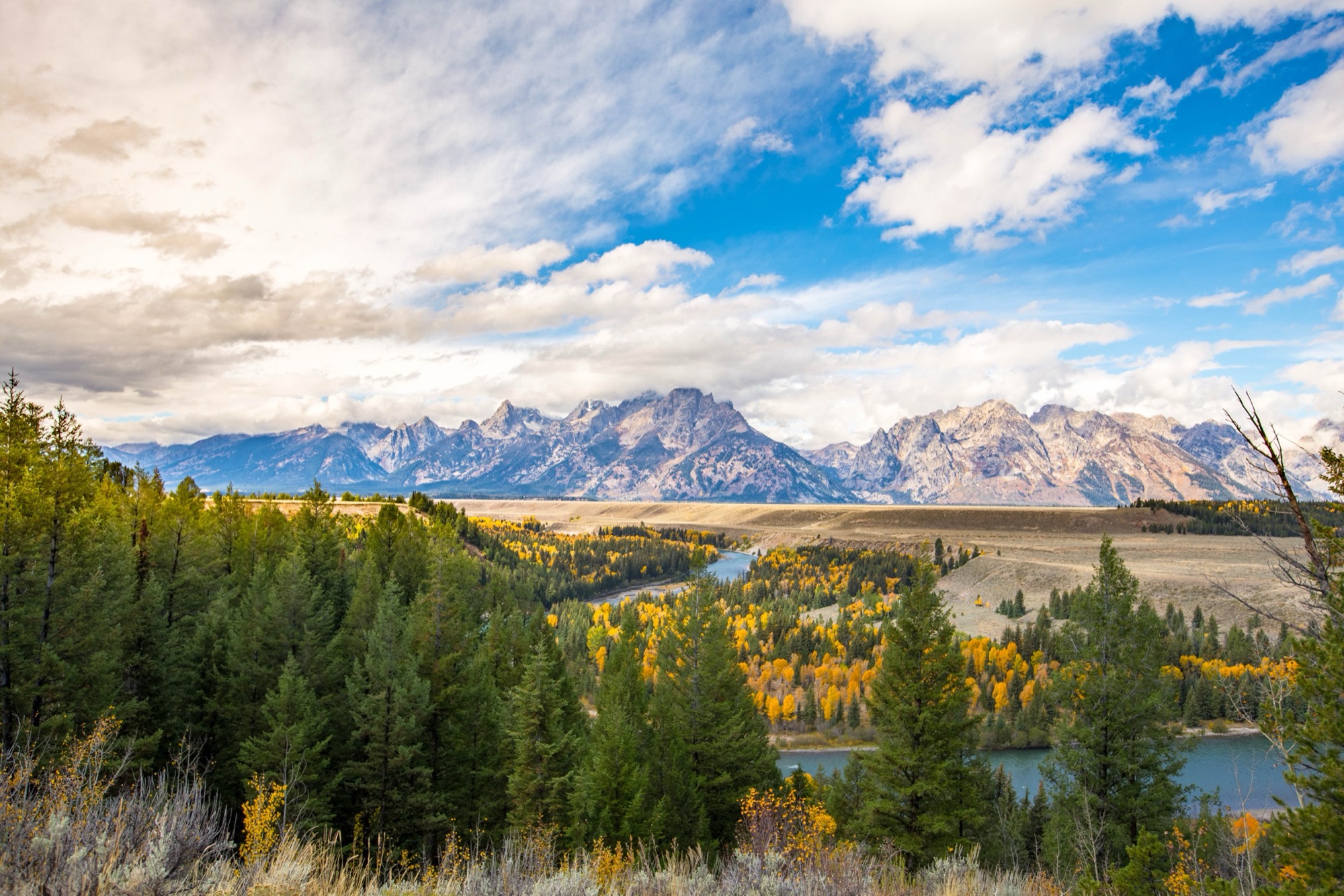 The Teton Range above the Snake River winding through golden autumn cottonwoods, from Snake River Overlook