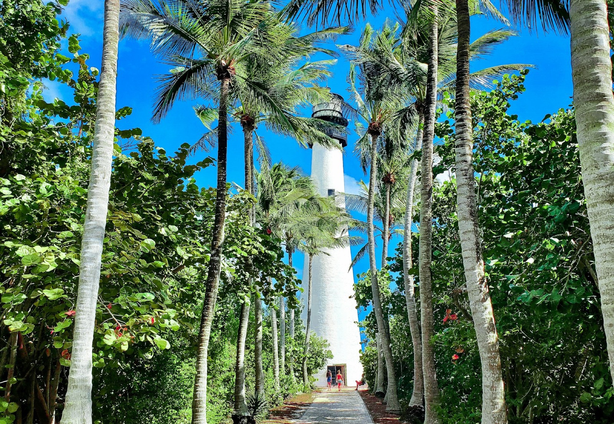 The Cape Florida lighthouse among the palms on Key Biscayne