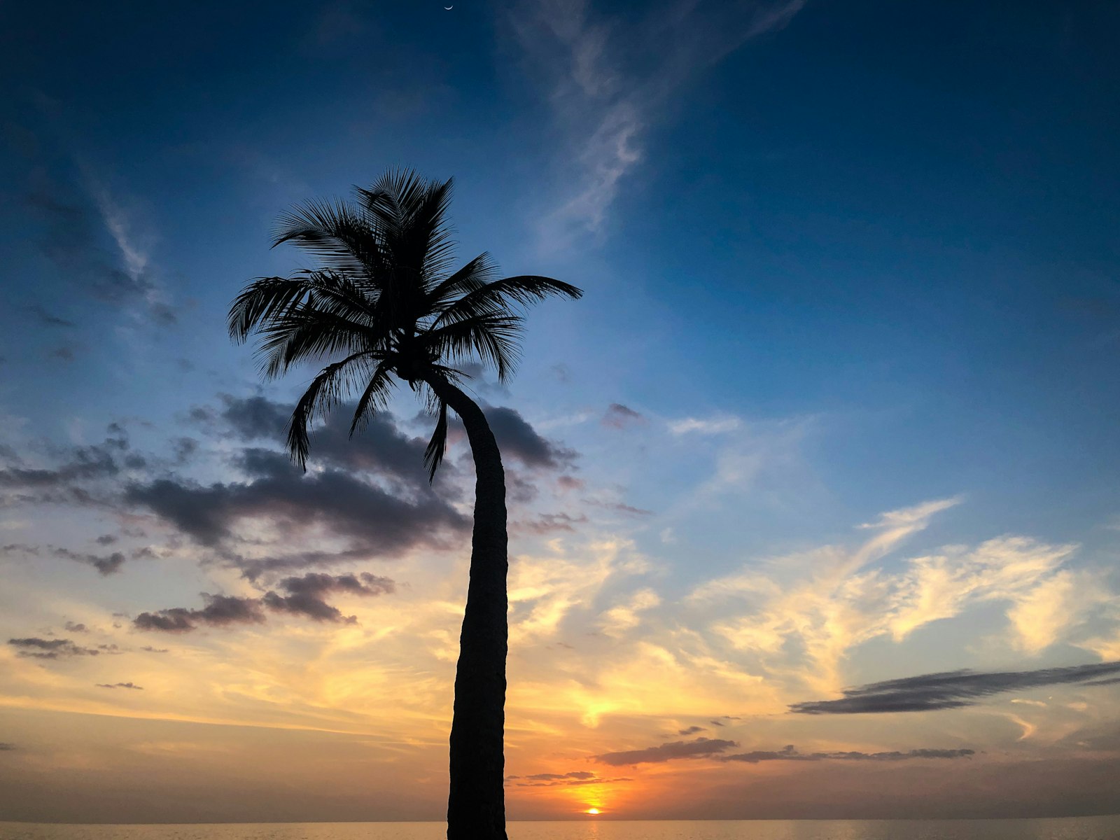 A Gulf sunset over the beach and palms in Naples, Florida