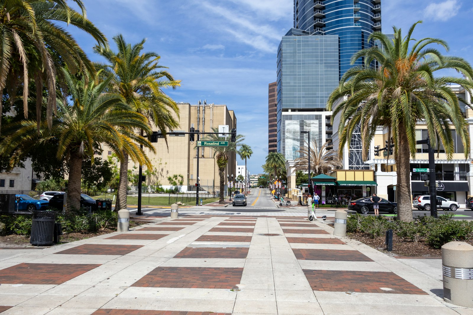 A palm-lined street in downtown Orlando