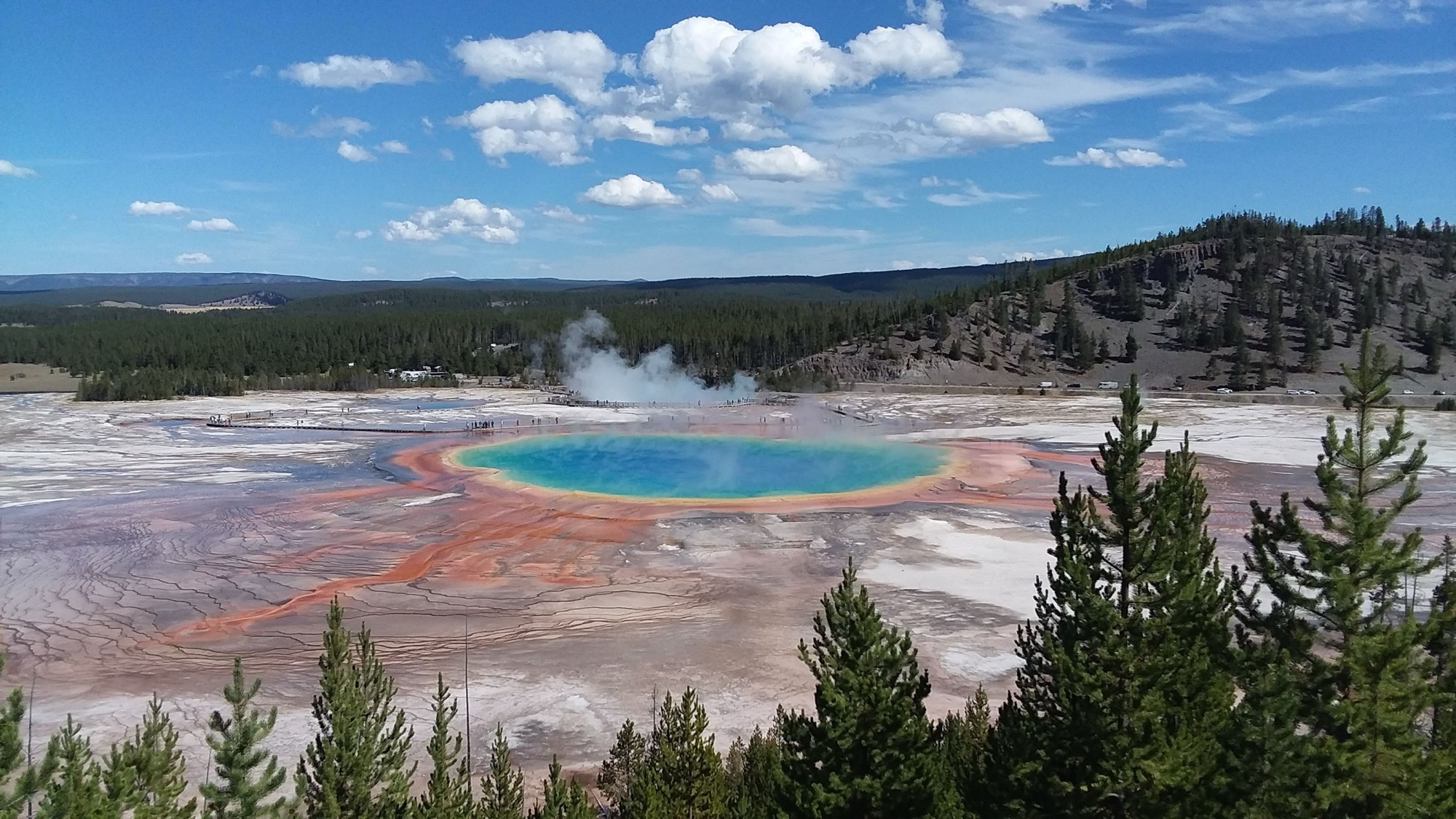 The rainbow bands of Grand Prismatic Spring seen from the overlook