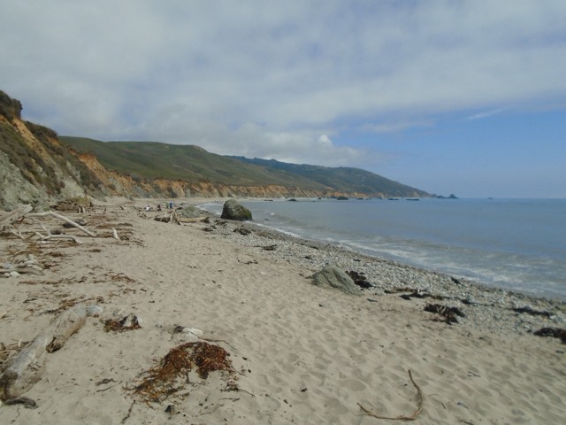 The driftwood-strewn beach and bluffs of Andrew Molera State Park curving along the coast