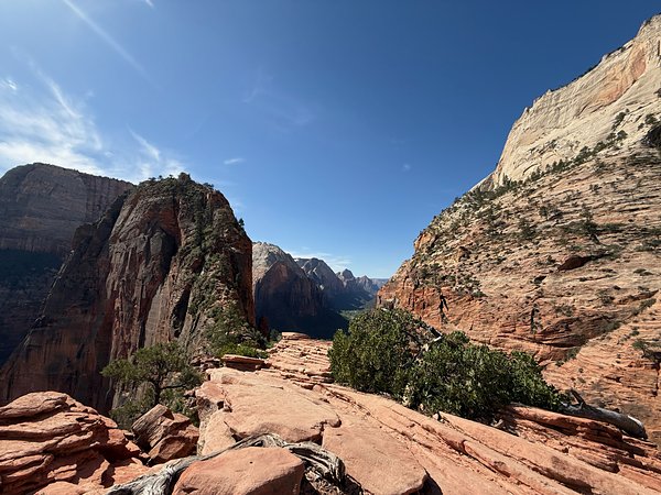 Angels Landing's fin seen from Scout Lookout, with Zion Canyon beyond