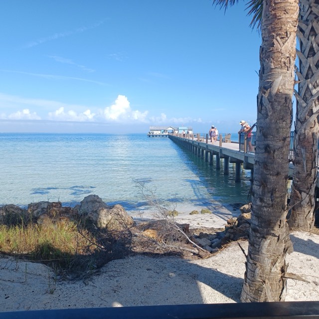 The historic Anna Maria City Pier reaching over turquoise Gulf water