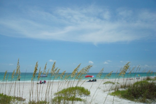 White sand, sea oats, and turquoise Gulf water under a bright blue sky at a beach on Anna Maria Island