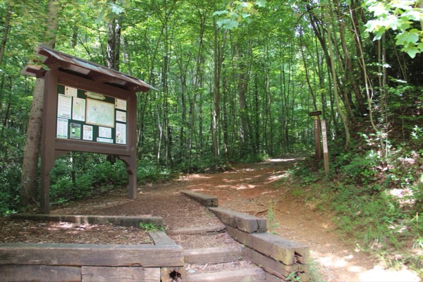 A forest trailhead in the Aska Adventure Area near Blue Ridge, Georgia