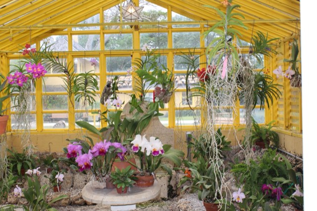 The yellow-framed orchid house at Bonnet House, filled with blooming orchids and Spanish moss