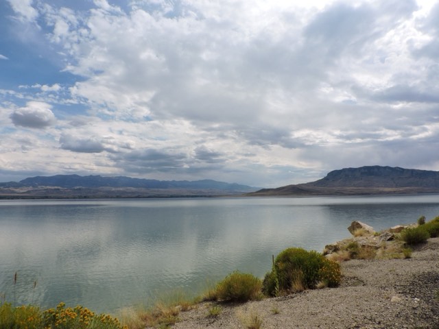 Buffalo Bill Reservoir ringed by mountains and wildflowers