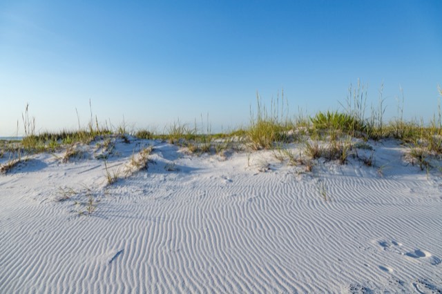 Rippled white-sand dunes tufted with sea oats on Santa Rosa Island at Pensacola Beach