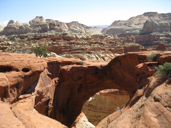 The walk-on Cassidy Arch with the Waterpocket Fold behind it