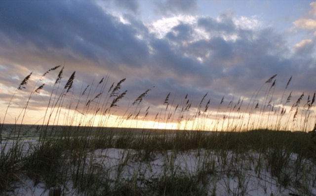 Sea oats and white sugar-sand dunes above the Gulf at Destin at sunset
