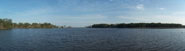 The calm bayou and forested shoreline at Eden Gardens State Park near 30A