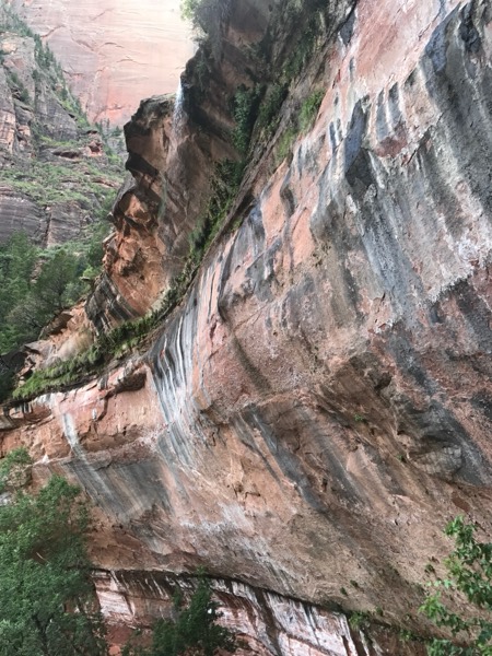Desert-varnish streaks and a seep on a towering sandstone wall in Zion's Emerald Pools canyon