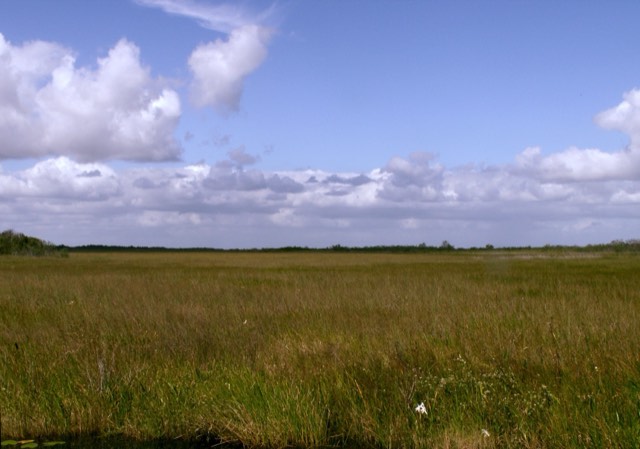 A wide sawgrass prairie wetland stretching to the horizon in the Everglades west of Fort Lauderdale