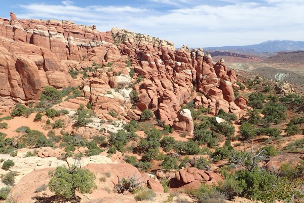 The maze of red sandstone fins of the Fiery Furnace with the La Sals behind
