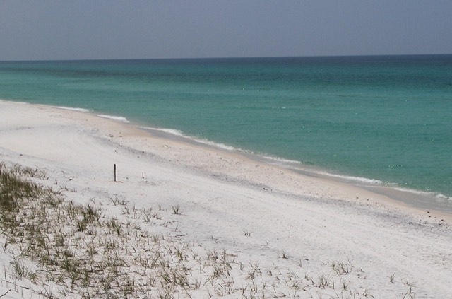 White sand and sea-oat dunes meeting the emerald-green Gulf water at Grayton Beach State Park on Florida's 30A