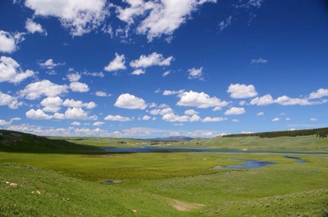 The broad green expanse and river of Hayden Valley