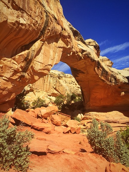 The vivid orange Hickman natural bridge against a deep blue sky