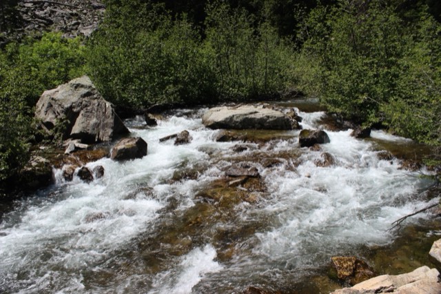 Cascade Creek rushing through forest near Hidden Falls above Jenny Lake