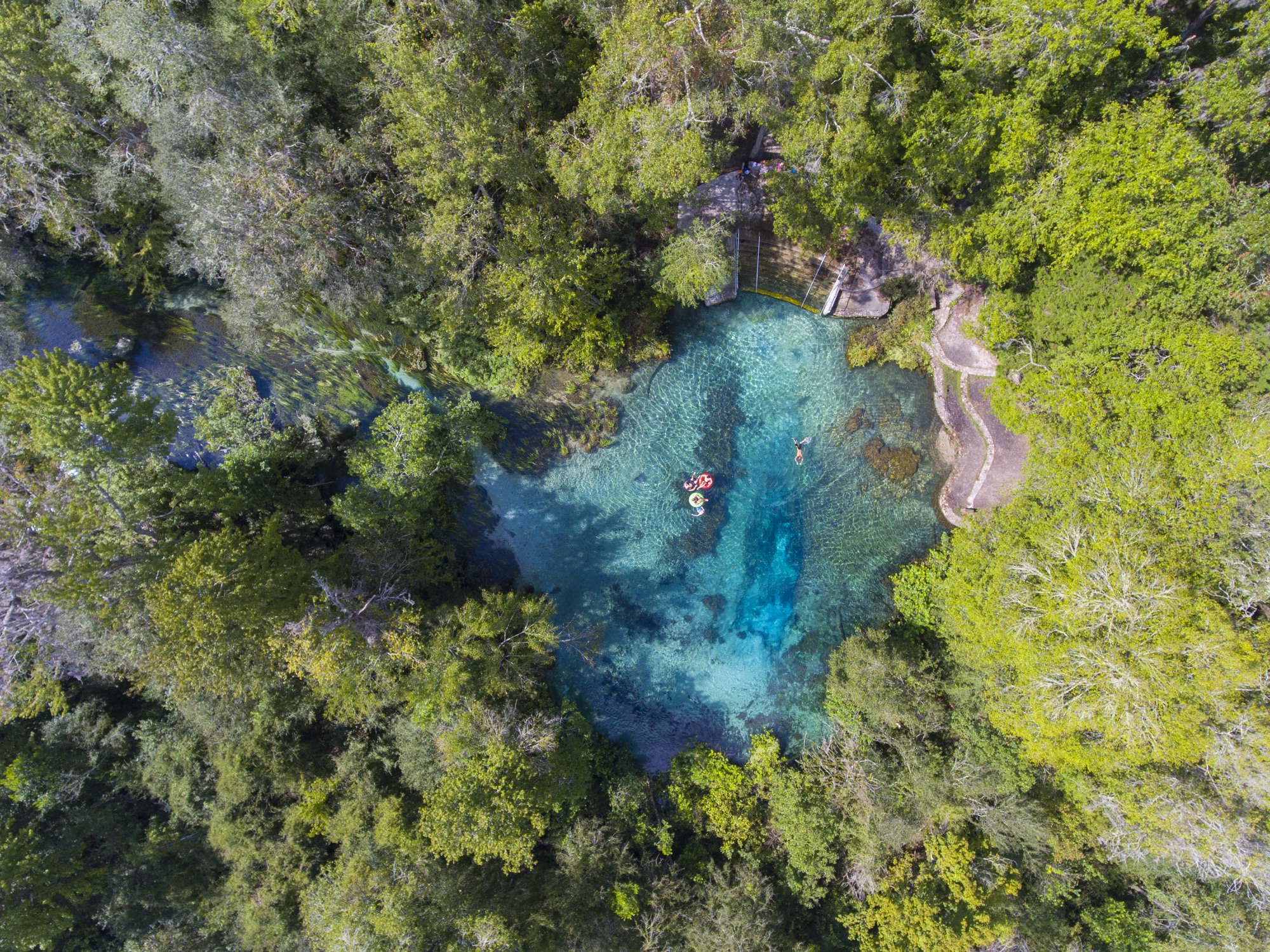 A clear turquoise Florida spring