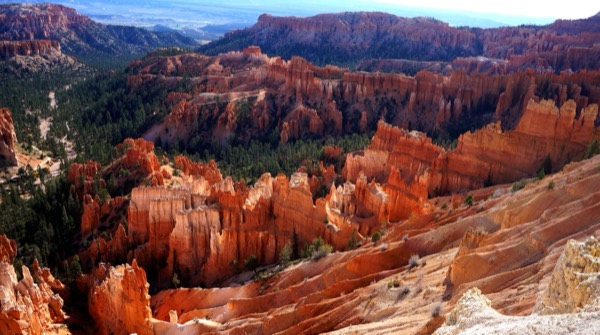 Warm side-lit fins and hoodoos seen from Inspiration Point