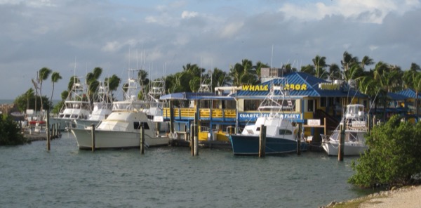 The Whale Harbor charter fishing marina in Islamorada