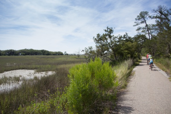 A paved bike trail running alongside the salt marsh on Jekyll Island