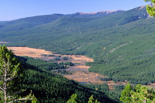 The Colorado River winding through the meadows of the Kawuneeche Valley on the park's west side