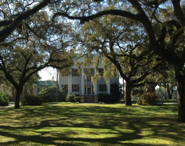 The white McLeod Plantation house framed by grand live oaks draped in Spanish moss