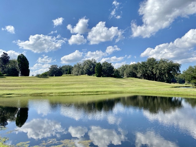The terraced green lawns descending to the reflecting Butterfly Lakes under a blue sky at Middleton Place