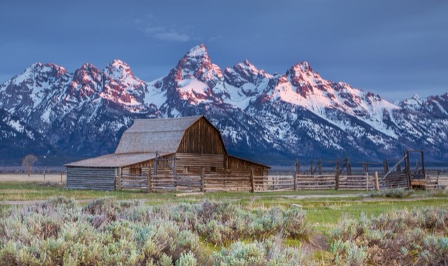 The historic T.A. Moulton barn on Mormon Row with alpenglow on the Teton Range behind