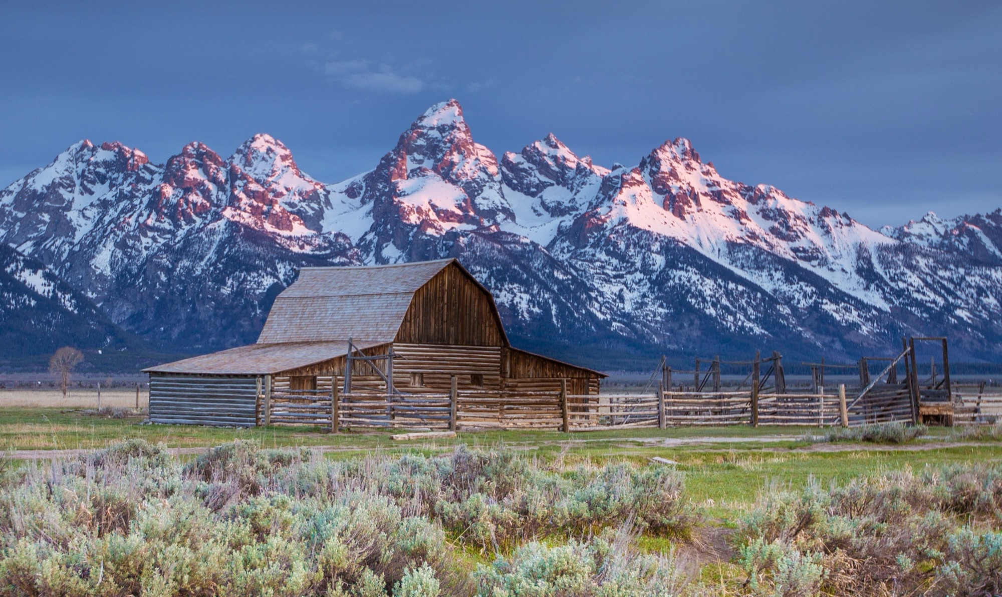 The historic T.A. Moulton barn on Mormon Row with alpenglow on the Teton Range behind