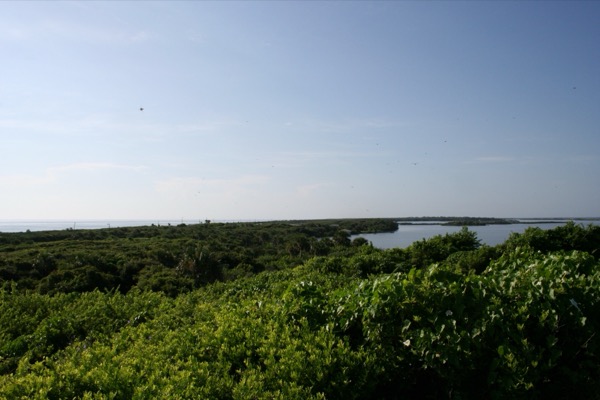 Mosquito Lagoon and Canaveral National Seashore seen from Turtle Mound