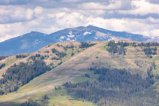 The Mount Washburn massif rising over green ridgelines