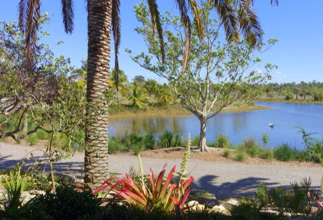 A palm-lined path beside the lake at Naples Botanical Garden