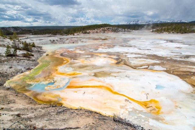 The colorful mineral flats of Norris Geyser Basin