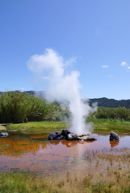 The Old Faithful Geyser of California erupting above its mineral pool near Calistoga