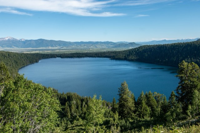 Deep-blue Phelps Lake ringed by forest, seen from the overlook