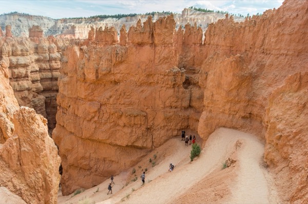 The switchbacks of Wall Street on the Queen's Garden–Navajo combination loop