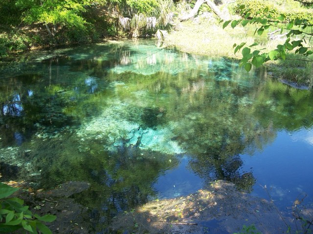 Crystal-clear turquoise spring water at the head of Rainbow Springs State Park revealing submerged rock formations