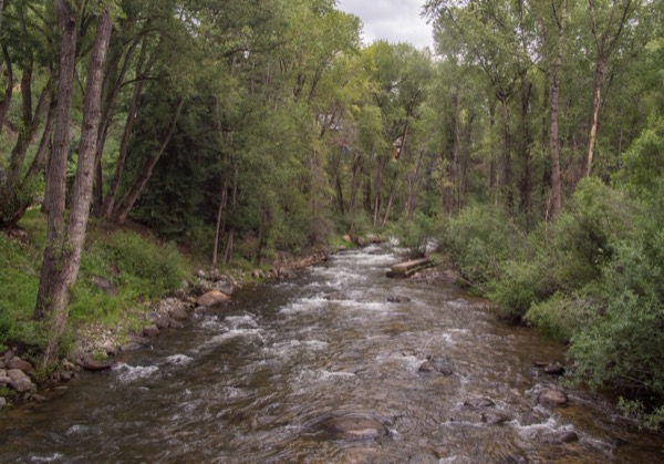 The Roaring Fork River running through the trees along the Rio Grande Trail in Aspen