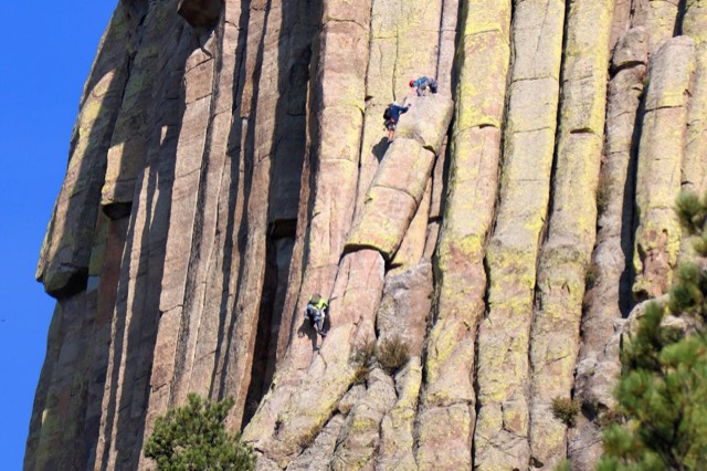 Climbers small on the columns of Devils Tower, showing the scale of the rock