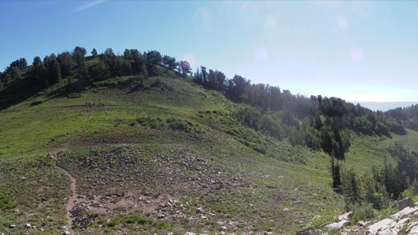 The green ridgeline meadow along the Wasatch Crest Trail above Park City