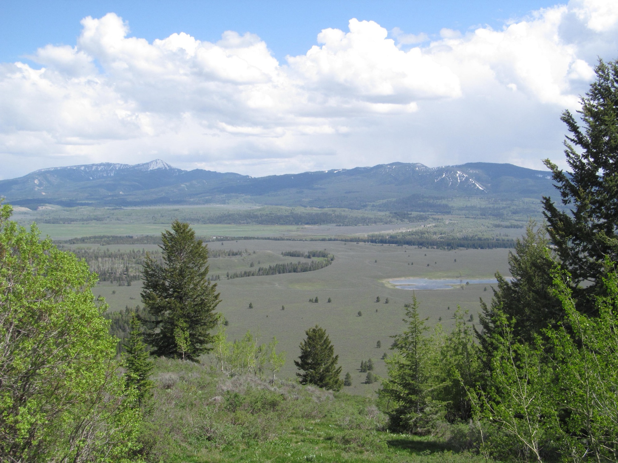 The Jackson Hole valley seen from the top of the Signal Mountain summit road