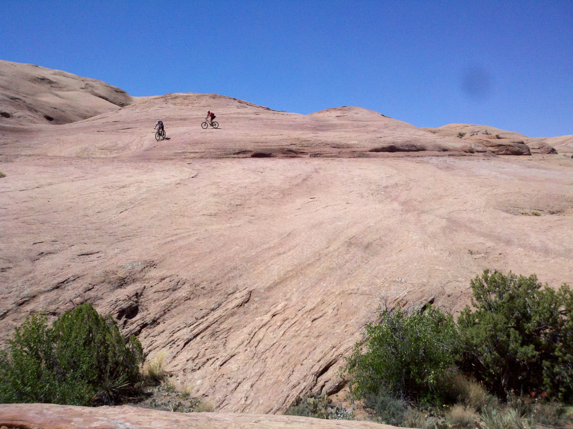 The petrified-dune terrain of the Slickrock Bike Trail under a blue sky