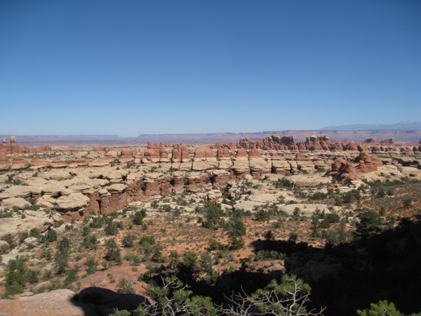 The banded sandstone spires of the Needles District in Canyonlands