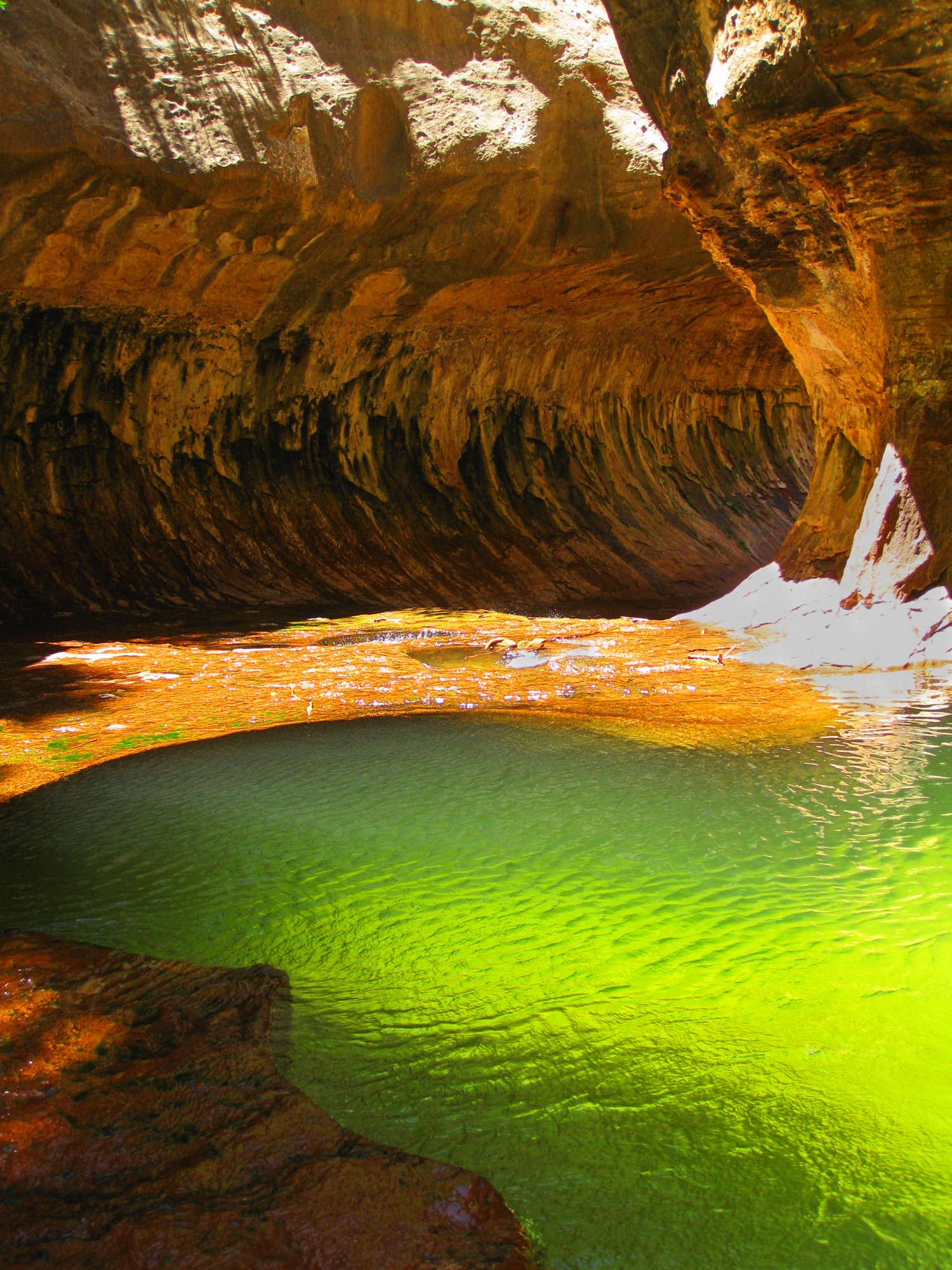 The tube-shaped rock and glowing green pools of The Subway in Zion's Left Fork