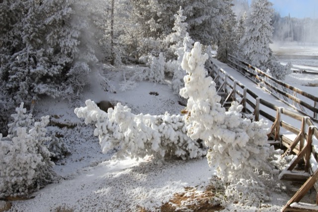 A boardwalk winding through a steaming thermal basin — stay on the boardwalk